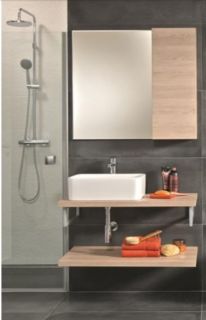 Раковина Roca Mila 32700B000 35 x 50 см