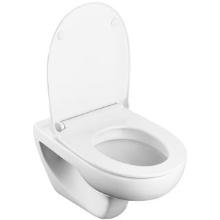 Унитаз Roca Victoria Rimless 34639300Y подвесной