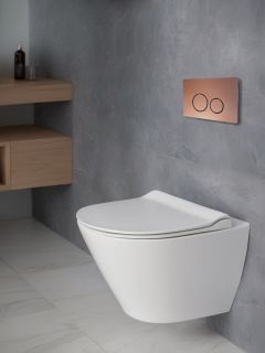 Кнопка смыва AltroBagno PFP 005FQ