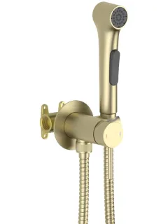 Гигиенический душ со смесителем Aquatek Европа AQ1020BG шлифованное золото