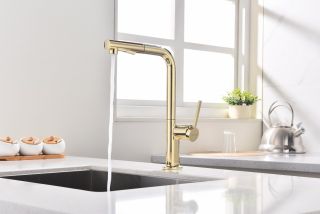 Смеситель для кухни Paulmark Neo Ne214419-G золото