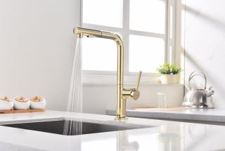 Смеситель для кухни Paulmark Neo Ne214419-G золото