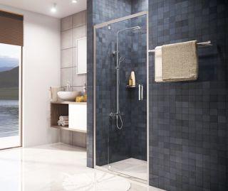 Душевая дверь Wasserkraft Berkel 48P12 100x200