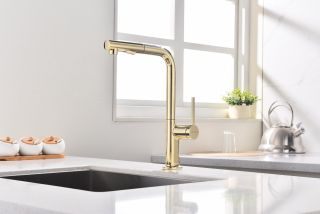 Смеситель для кухни Paulmark Neo Ne214419-G золото